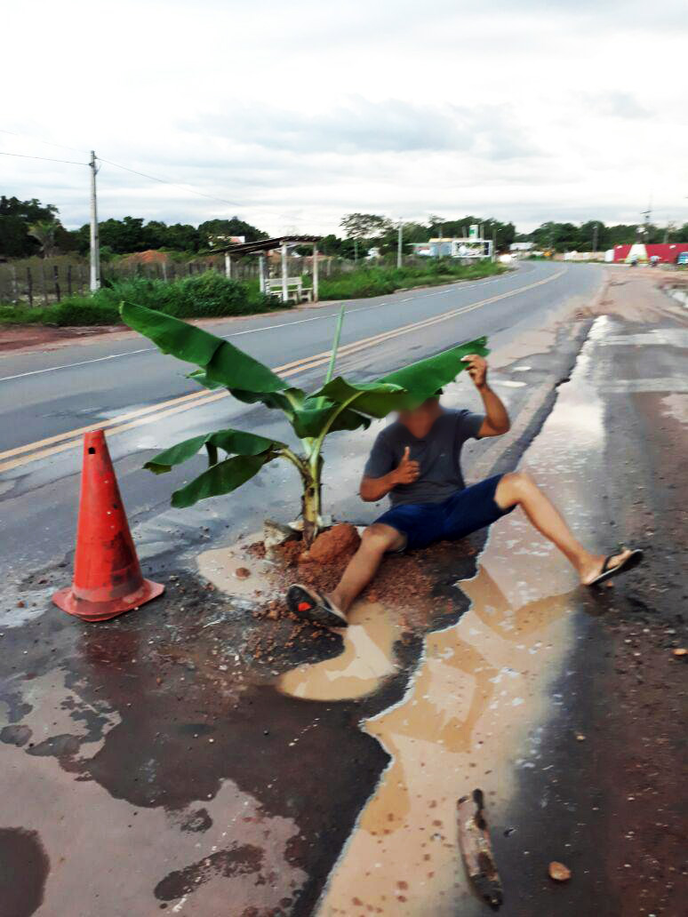 Moradores plantam pé de banana em buraco na BR-343, em Altos